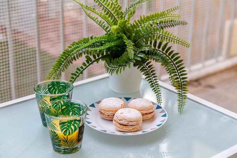 Holiday-House-Sardinia-baunei-casa-Olivastro-Terra-A_34_low