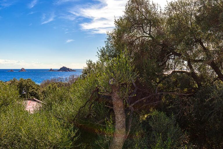 Holiday-House-Sardinia-baunei-casa-Olivastro-Vista-Mare_36_low25_low