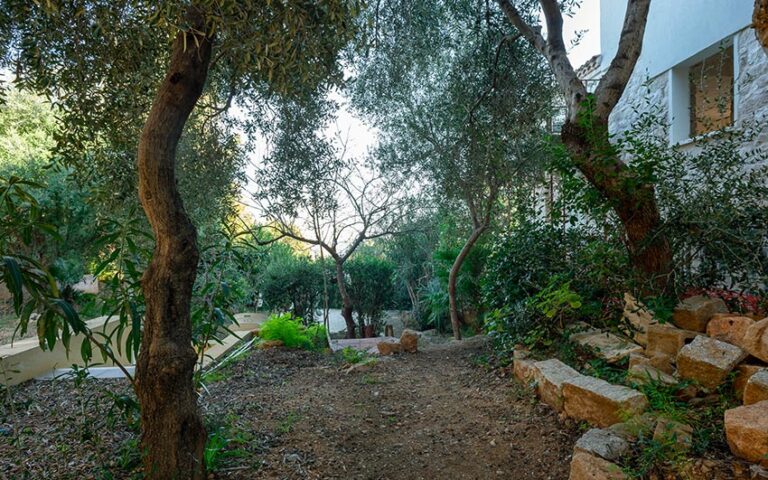 Holiday-House-Sardinia-baunei-casa-giardino-sul-mare_202027