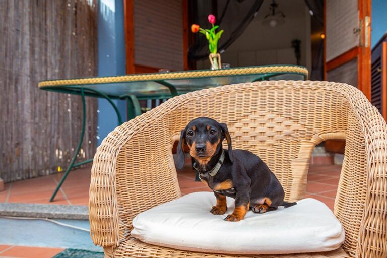 Holiday-House-Sardinia-baunei-casa-raftin_004