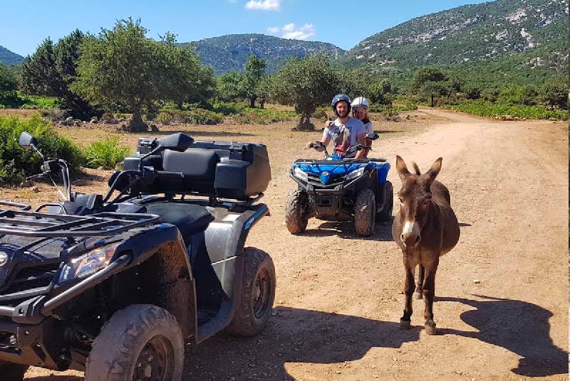 bynos tour terra quad baunei