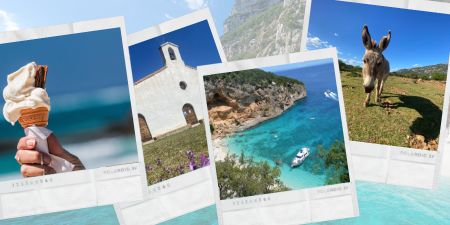 free guide