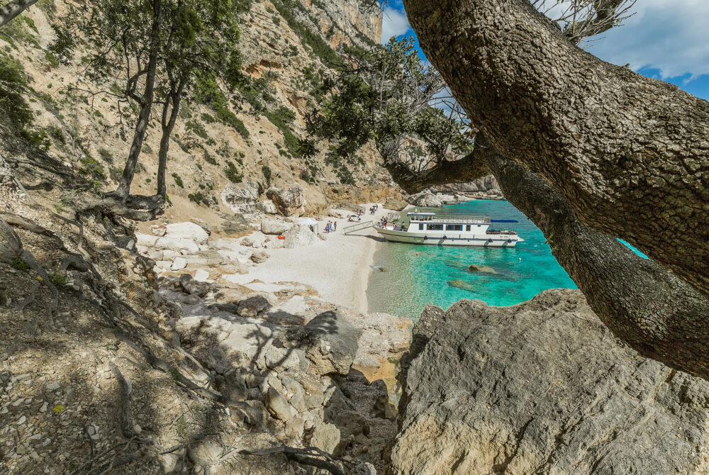 Bynos Travel 34 e1744811144545