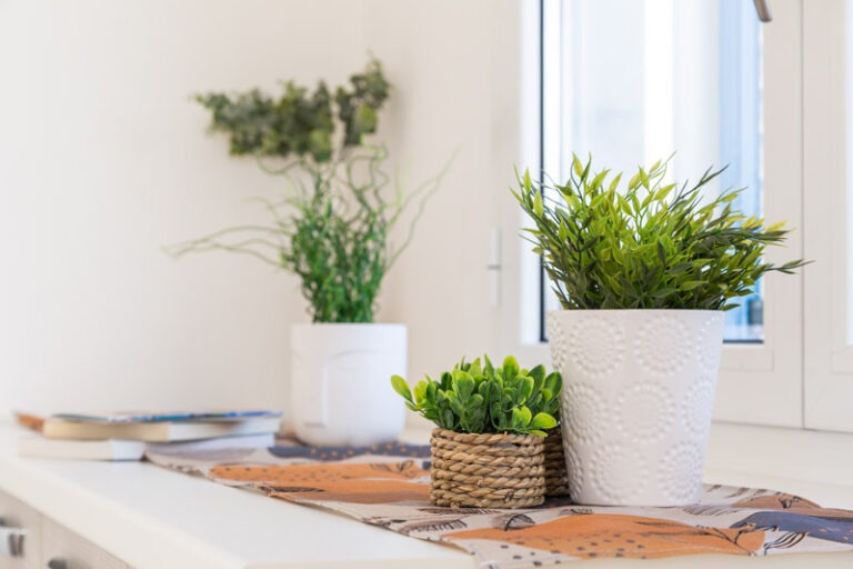 Bynos - Appartamenti Moni - Via Supramonte - Low-23