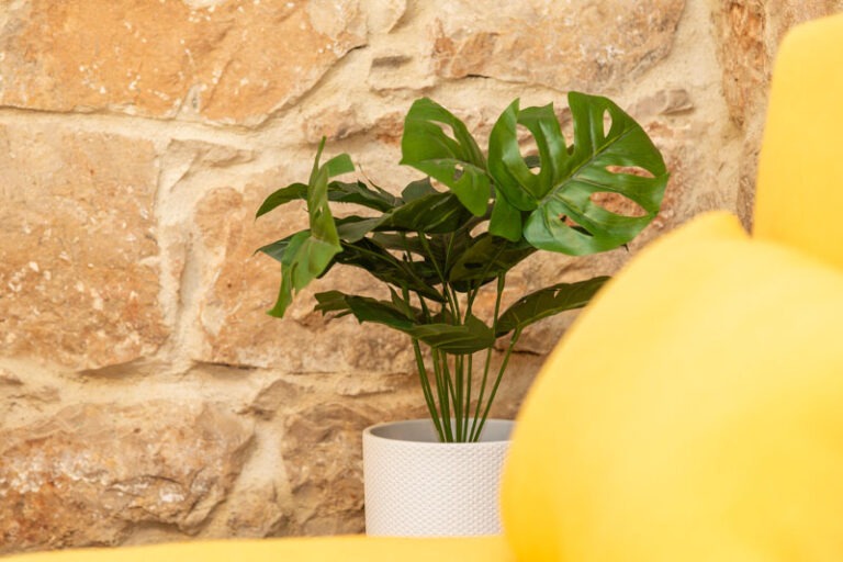 Bynos - Vico Napoli - Baunei-23 (2026-02-20T11_10_01.031)