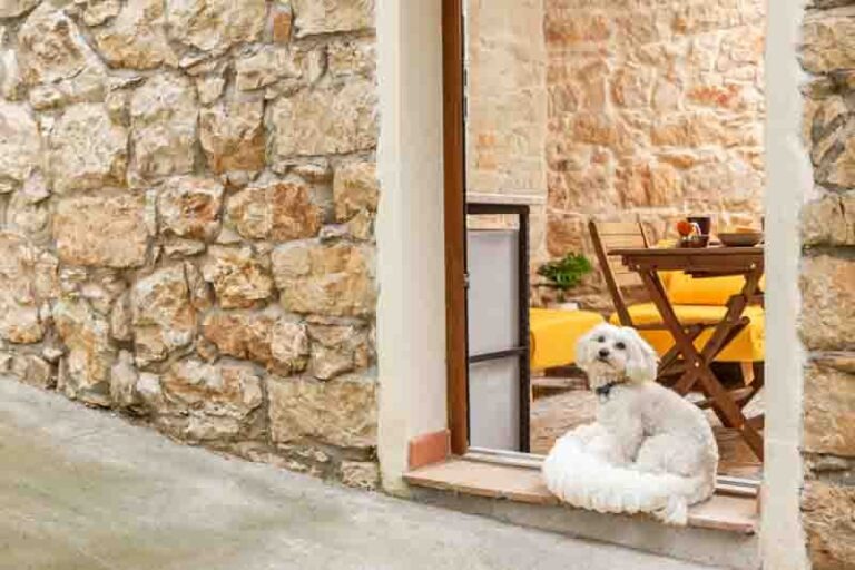 Bynos - Vico Napoli - Baunei-28 (2026-02-20T11_10_05.043)