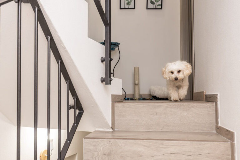 Bynos Travel - Dommu e Mela - Baunei-22 (2026-02-27T09_08_17.754)