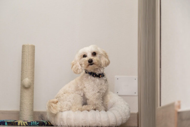 Bynos Travel - Dommu e Mela - Baunei-23 (2026-02-27T09_08_18.542)