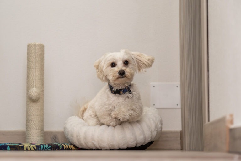 Bynos Travel - Dommu e Mela - Baunei-24 (2026-02-27T09_08_19.265)