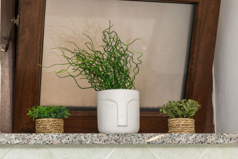 Bynos Travel - Dommu e Mela - Baunei-28 (2026-02-27T09_08_22.482)