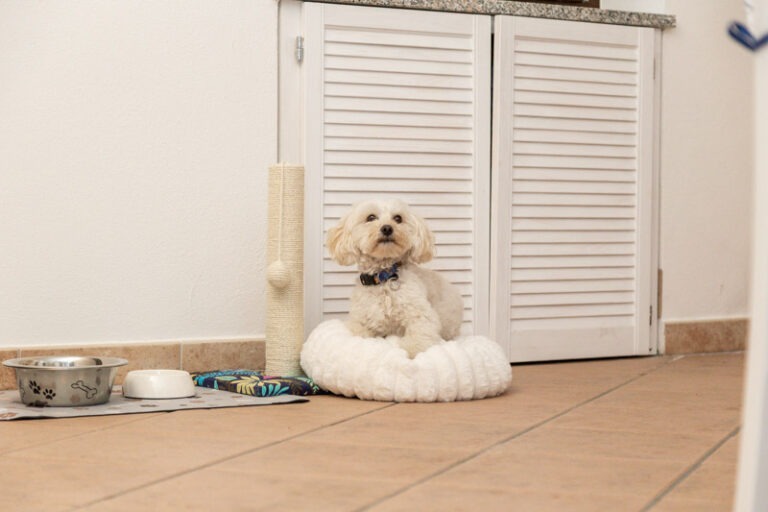 Bynos Travel - Dommu e Mela - Baunei-40 (2026-02-27T09_08_31.847)