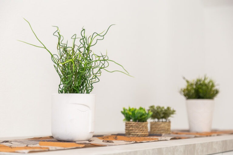 Bynos - Piana - Via Piredda 5-39 (2026-02-16T09_55_59.301)