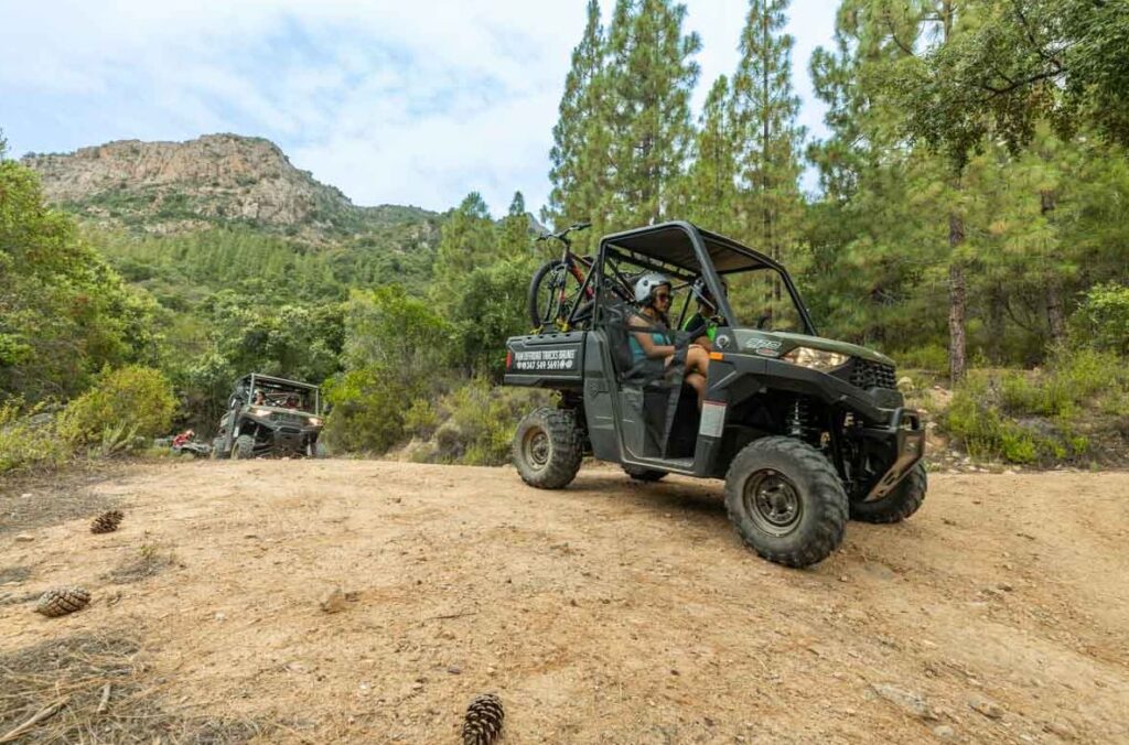buggy 1